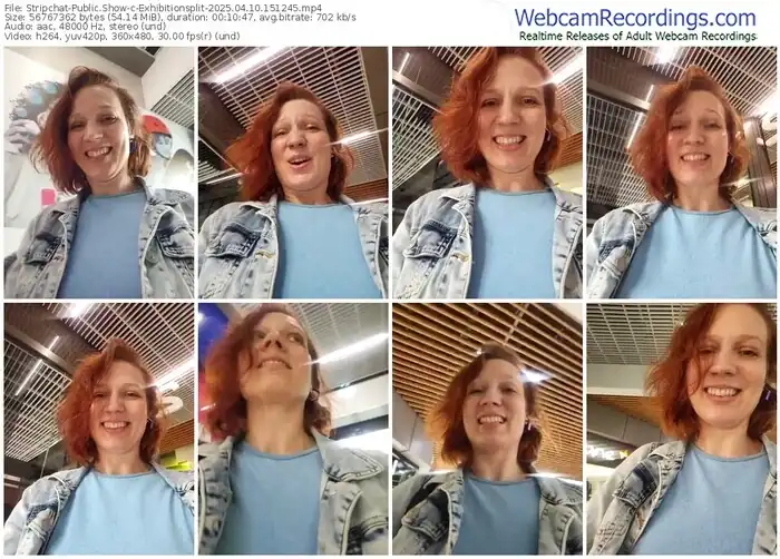 2025/04/10/stripchat-exhibitionsplit-15-12-45