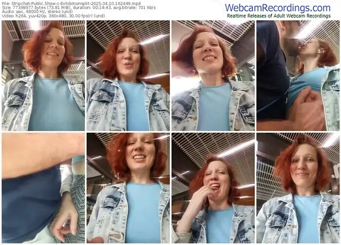 2025/04/10/stripchat-exhibitionsplit-16-24-49