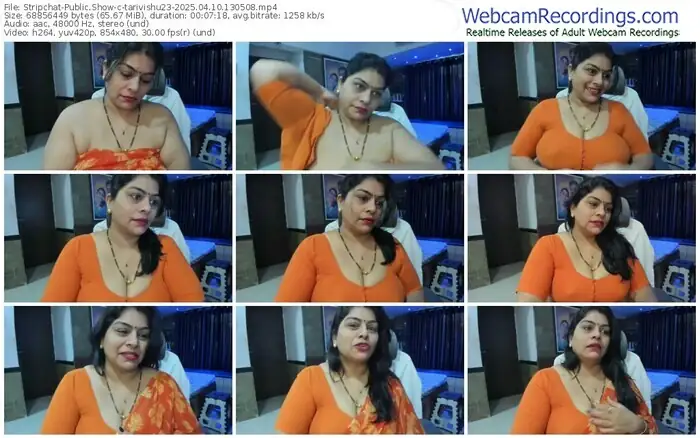 2025/04/10/stripchat-tarivishu23-13-05-08