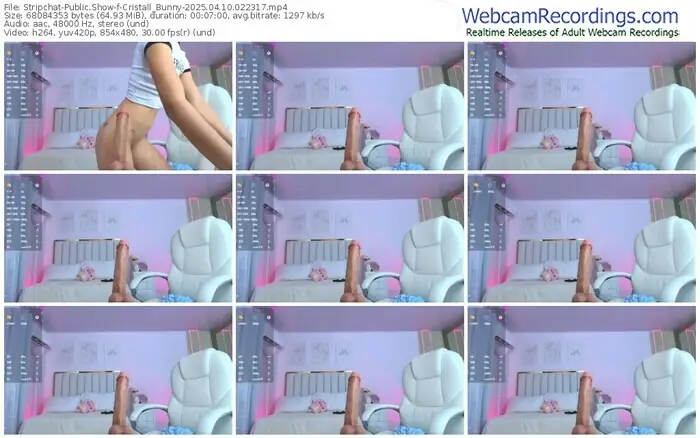 2025/04/10/stripchat-cristall_bunny-02-23-17