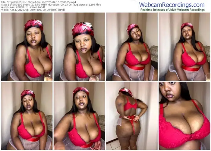 2025/04/10/stripchat-pmiss-23-00-35