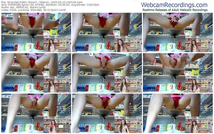 2025/04/10/stripchat-_7eleven_-16-05-24