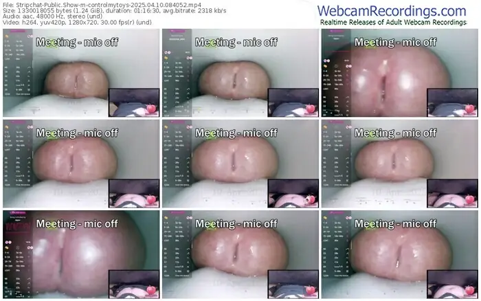 2025/04/10/stripchat-controlmytoys-08-40-52