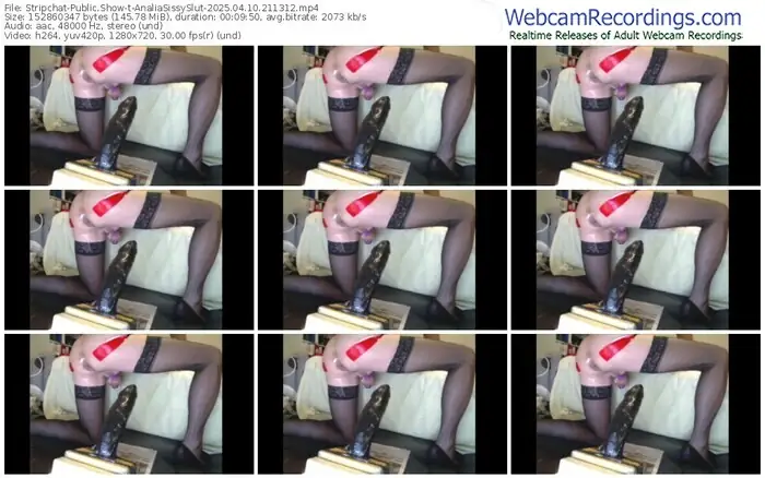 2025/04/10/stripchat-analiasissyslut-21-13-12
