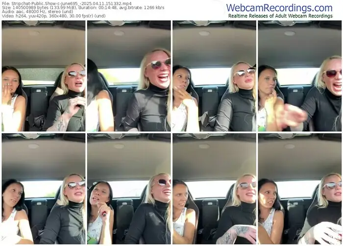 2025/04/11/stripchat-june695_-15-13-32