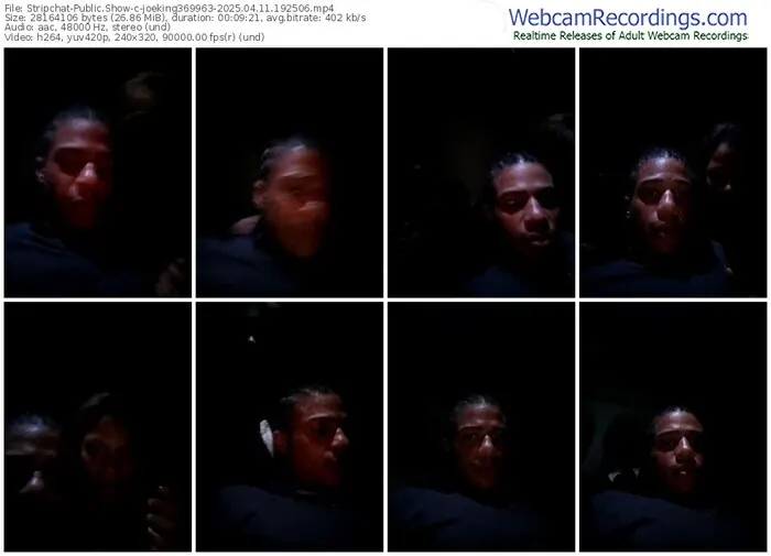 2025/04/11/stripchat-joeking369963-19-25-06