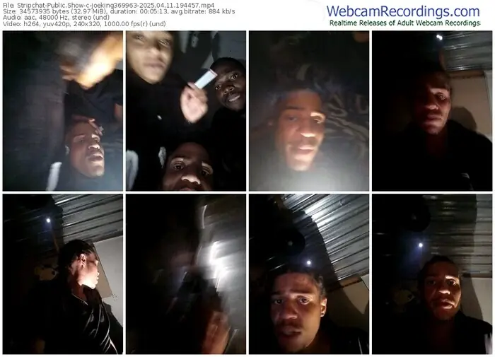 2025/04/11/stripchat-joeking369963-19-44-57