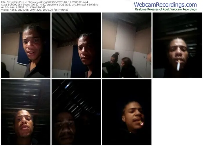 2025/04/11/stripchat-joeking369963-20-03-22