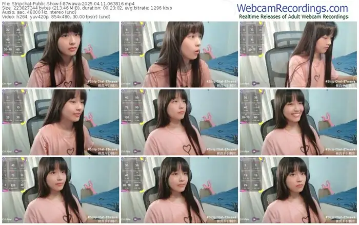 2025/04/11/stripchat-87wawa-06-38-16