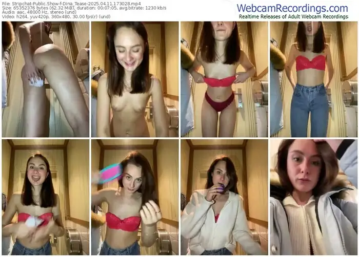 2025/04/11/stripchat-dina_tease-17-30-28