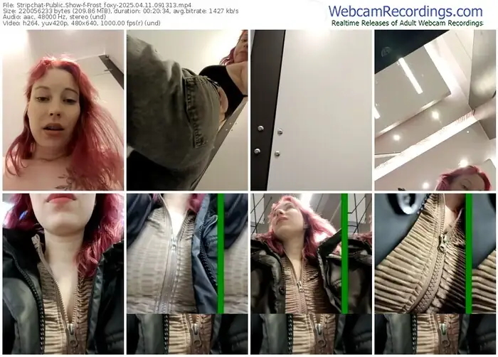 2025/04/11/stripchat-frost_foxy-09-13-13