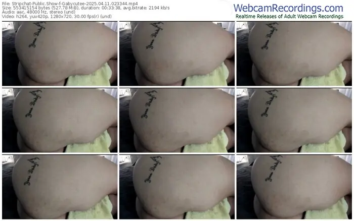 2025/04/11/stripchat-gabycutee-02-33-44