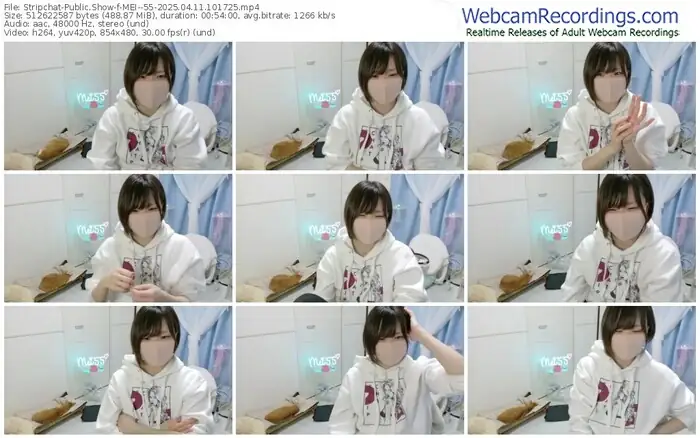 2025/04/11/stripchat-mei--55-10-17-25