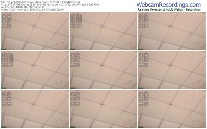 2025/04/11/stripchat-nikadines-02-44-53