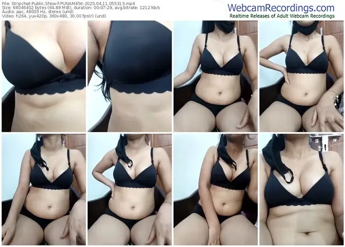 2025/04/11/stripchat-punam456-05-53-13