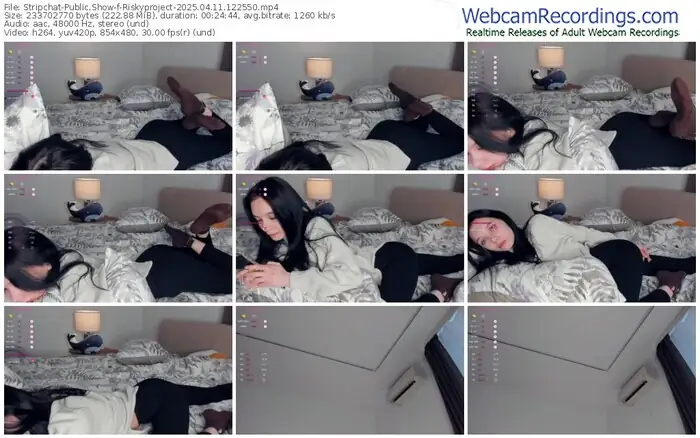 2025/04/11/stripchat-riskyproject-12-25-50