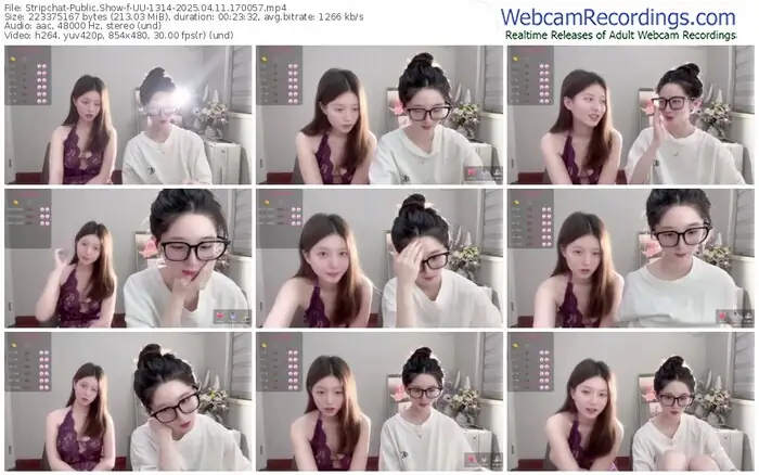 2025/04/11/stripchat-uu-1314-17-00-57