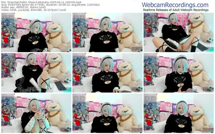 2025/04/11/stripchat-aikonany-14-00-33