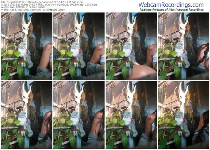 2025/04/11/stripchat-k_lebannon-22-18-46