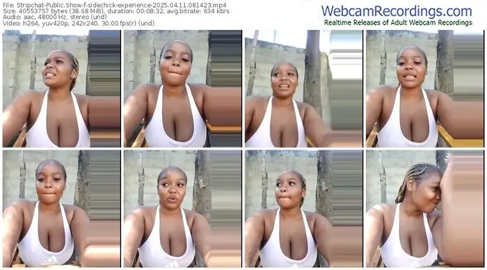 2025/04/11/stripchat-sidechick-experience-08-14-23