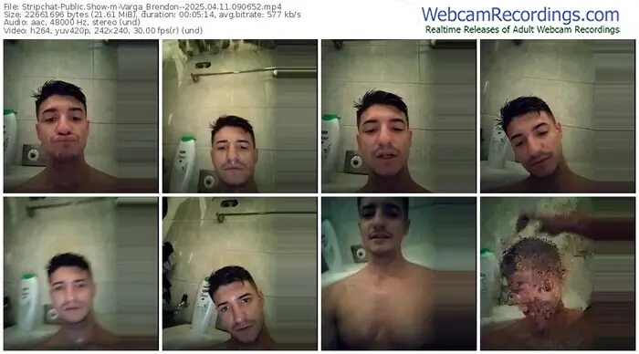 2025/04/11/stripchat-varga_brendon--09-06-52