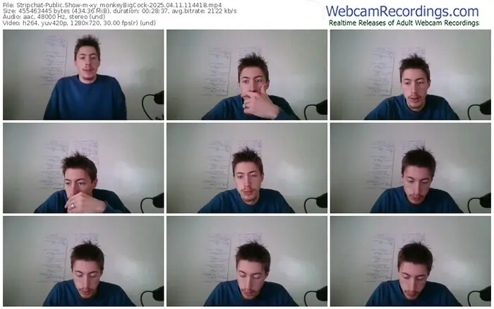 2025/04/11/stripchat-xy_monkeybigcock-11-44-18