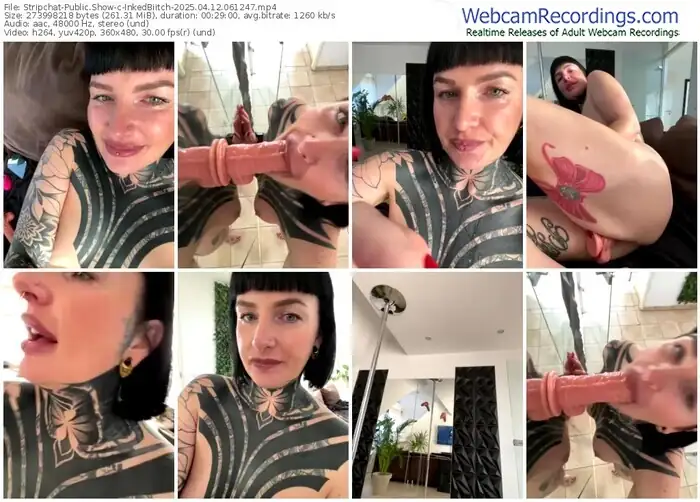 2025/04/12/stripchat-inkedbiitch-06-12-47
