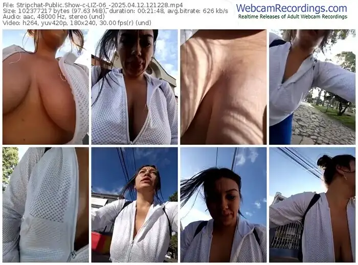 2025/04/12/stripchat-liz-06_-12-12-28