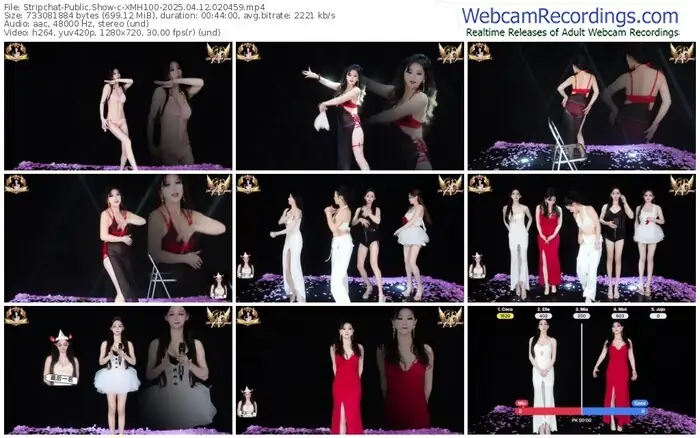 2025/04/12/stripchat-xmh100-02-04-59