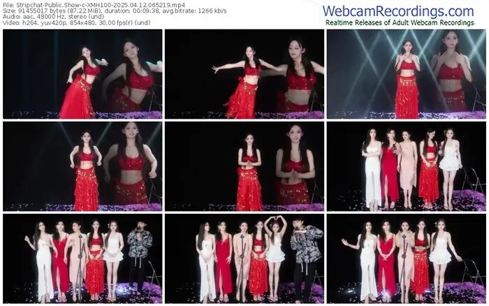 2025/04/12/stripchat-xmh100-06-52-19