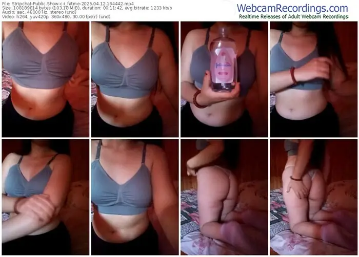 2025/04/12/stripchat-i_fatme-16-44-42