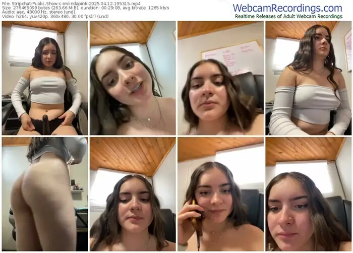 2025/04/12/stripchat-imlindapink-19-53-15