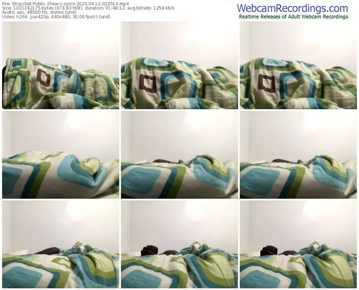 2025/04/12/stripchat-ojoro-02-25-14