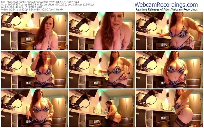 2025/04/12/stripchat-endrocleia-01-56-07