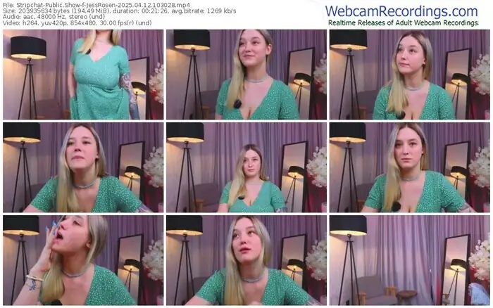 2025/04/12/stripchat-jessrosen-10-30-28