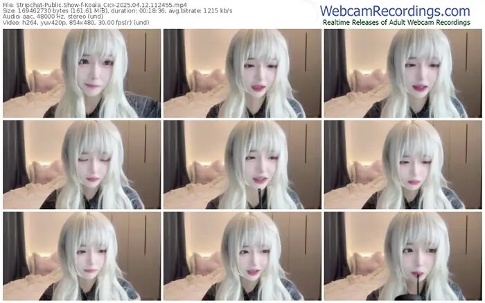 2025/04/12/stripchat-koala_cici-11-24-55