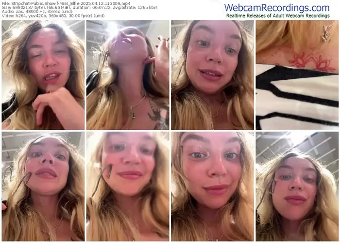 2025/04/12/stripchat-miss_elfie-11-30-09