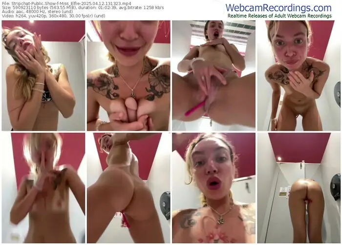 2025/04/12/stripchat-miss_elfie-13-13-23