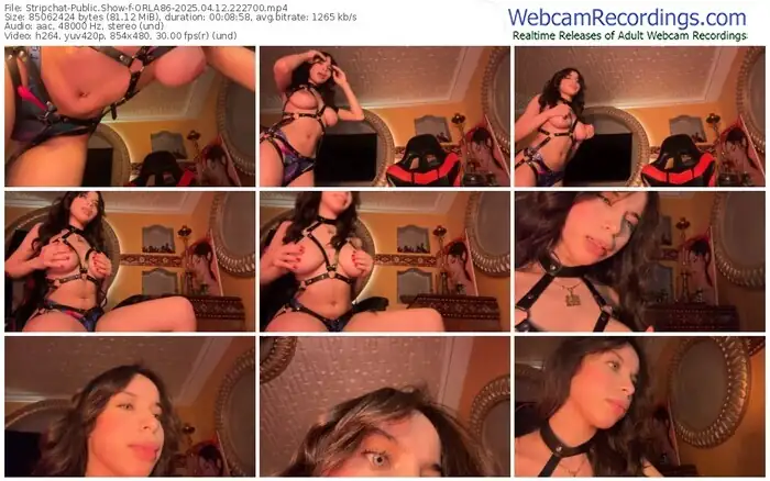 2025/04/12/stripchat-orla86-22-27-00