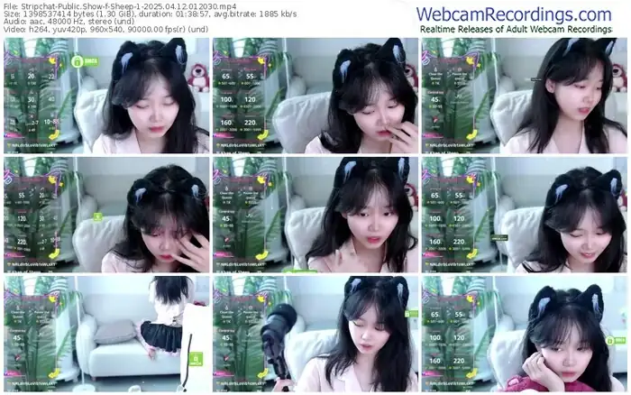 2025/04/12/stripchat-sheep-1-01-20-30