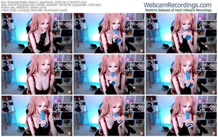 2025/04/12/stripchat-_sparkland_-00-16-37