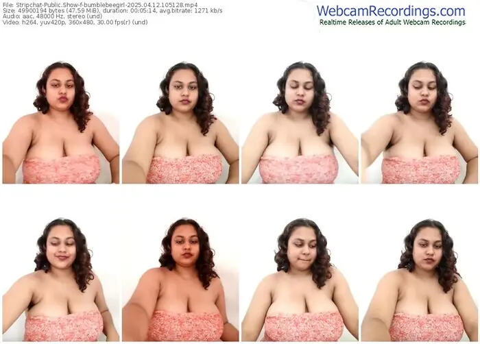 2025/04/12/stripchat-bumblebeegirl-10-51-28