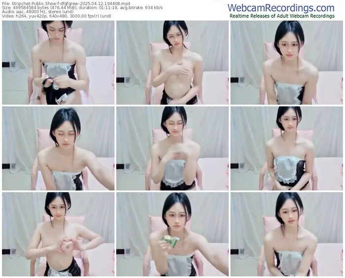 2025/04/12/stripchat-dfgfgrew-19-44-08