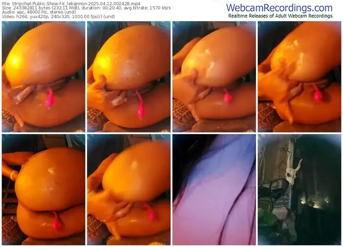 2025/04/12/stripchat-k_lebannon-00-24-28