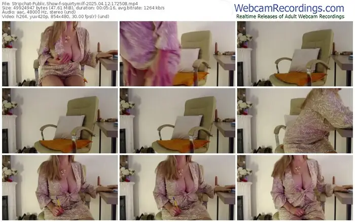 2025/04/12/stripchat-squirtymilf-17-25-08
