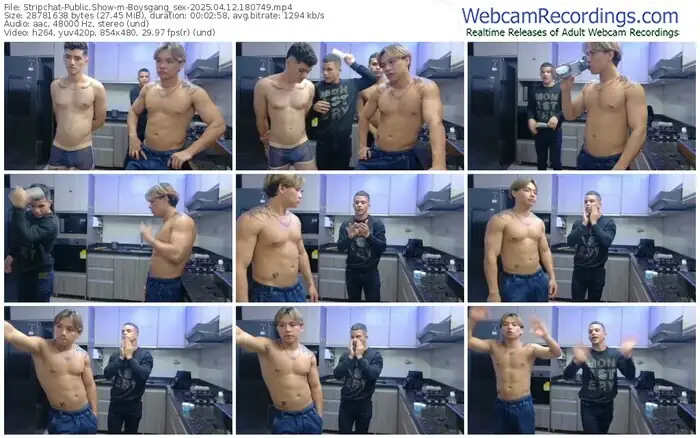 2025/04/12/stripchat-boysgang_sex-18-07-49