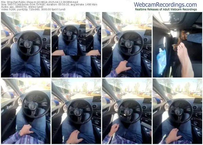 2025/04/12/stripchat-jk1981jk-09-38-58