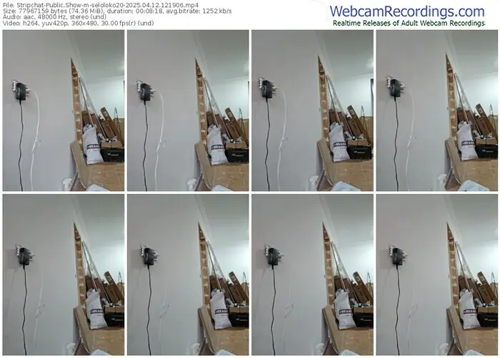 2025/04/12/stripchat-seloloko20-12-19-06