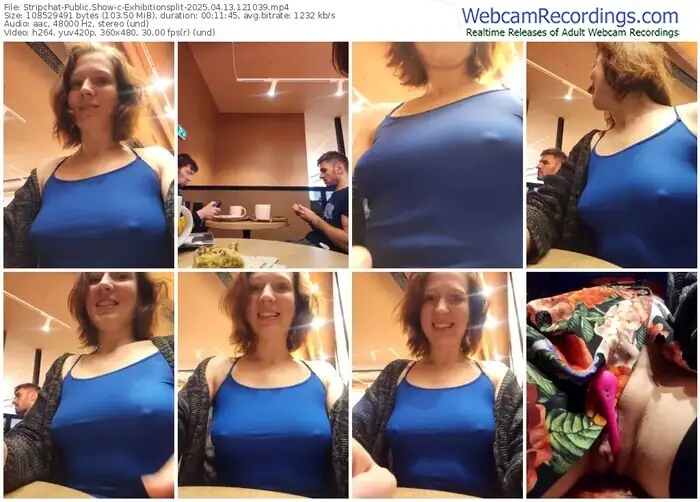 2025/04/13/stripchat-exhibitionsplit-12-10-39