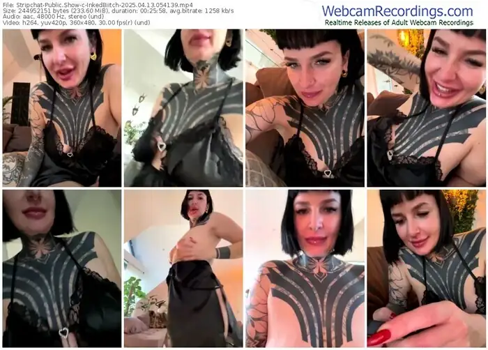 2025/04/13/stripchat-inkedbiitch-05-41-39